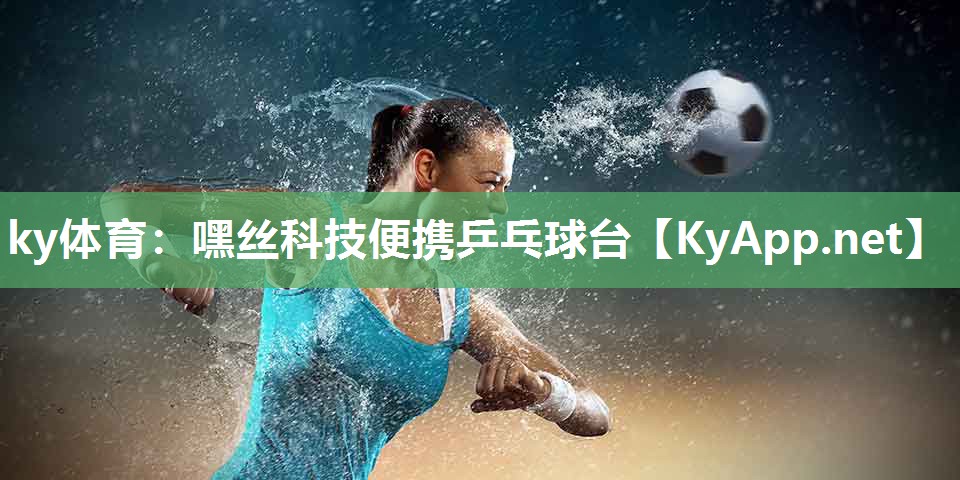 ky体育：嘿丝科技便携乒乓球台